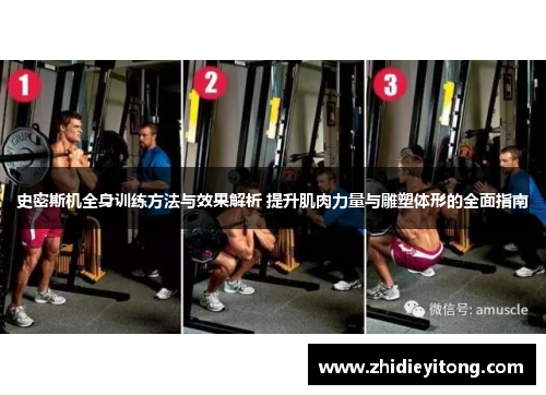史密斯机全身训练方法与效果解析 提升肌肉力量与雕塑体形的全面指南