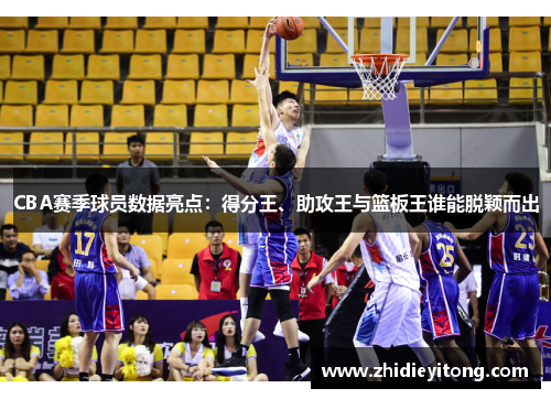 CBA赛季球员数据亮点：得分王、助攻王与篮板王谁能脱颖而出