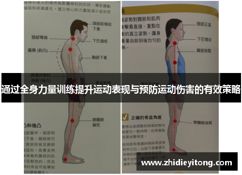 通过全身力量训练提升运动表现与预防运动伤害的有效策略