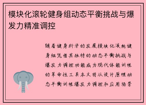 模块化滚轮健身组动态平衡挑战与爆发力精准调控