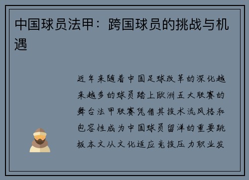 中国球员法甲：跨国球员的挑战与机遇