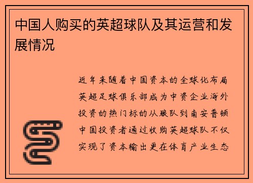 中国人购买的英超球队及其运营和发展情况